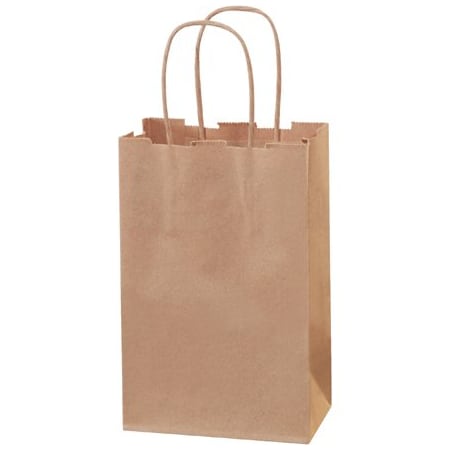 Bsc Preferred 5-1/2 x 3 1/4 x 8-3/8'' Kraft Paper Shopping Bags, 250PK BUY00030883